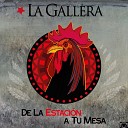 La Gallera - Por Un Sapo Entregador Live Recording