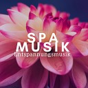 Mindfulness Background - New Age Musik