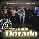 Caballo Dorado - Arriba y abajo 25 Aniversario