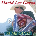 David Lee Garza - Antojos De Querer