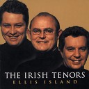 The Irish Tenors - Isle Of Hope Isle Of Tears