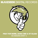 Pray For More Akira Dee GT Slaag - So Amazing Stefan K Remix