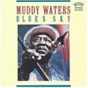 Muddy Waters - Forever lonely