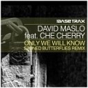 David Maslo Ft Che Cherry - Only We Will Know Stoned Butterflies Attention…