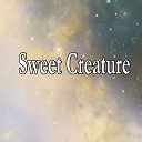 Barberry Records - Sweet Creature Fitness Dance Instrumental…
