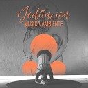 La Academia de M sica para la Meditaci n de Sanaci… - Acender Vela