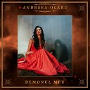 Andreea Olaru - Demonul Meu
