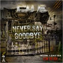 DJ E - Never Say Goodbye Fortitude Remix