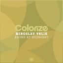 Miroslav Vrlik - Alone At Midnight Original Mix