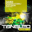 DAVED - Random Storm Radio Edit