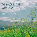 Patti Rudisill - The Color of the Summer Sky From Secret of…