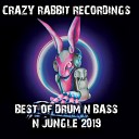 DJ Purple Rabbit feat Invisible - Ganjah Freestyle Funk Vocal Mix
