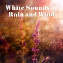 Sounds of Nature Kingdom - Healing Rain and Wind Sounds