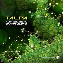 Talpa - Mathematical Existance Original Mix