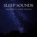 Ambient Sounds from I m In Records - Rain Crickets and Frogs Part 15