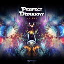 Perfect Disarray - I Don t Give A Fuck Original Mix