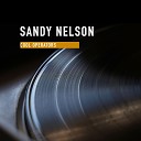 Sandy Nelson - Tequila