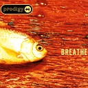 The Prodigy - Breathe Misha Goda Remix