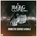 Domestic Science Koala - A Singing Comet La Rose Remix