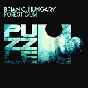 Brian C Hungary - Forest Gum Original Mix