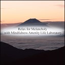 Mindfulness Amenity Life Laboratory - Future Stress Free Original Mix