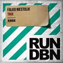 Falko Niestolik - True Club Mix