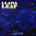 Llamaleaf - Panda s On Viagra Original Mix