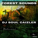 Dj Soul Caizler - Why Do You Chose Me Original Mix