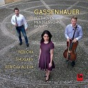 Milan Rericha Nikolay Shugaev Fatima Rericha… - Piano Trio in B Flat Major Op 11 Gassenhauer I Allegro con…