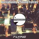 Hornybunny Sound Forces - Flying Original Mix