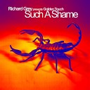 Richard Grey feat. Golden Touch - Such a Shame (Radio Edit)
