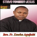 Rev Fr Emeka Agujiobi - Strive to Meet Jesus