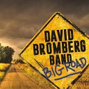 David Bromberg Band - Standing in the Need of Prayer