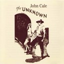 John Cale - Part 8