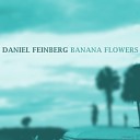 Daniel Feinberg - Through The Weekend