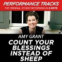 Amy Grant - Count Your Blessings Instead Of Sheep Performance Track In Key Of D Without Background Vocals Low Key…