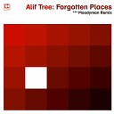 Alif Tree - Forgotten Places Moodymann Remix