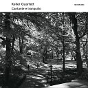 Keller Quartett - Beethoven Quartet No 13 In B Flat Op 130 V Cavatina Adagio molto…