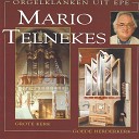 Mario Telnekes - Marche triomphale Nun danket alle Gott Op 65…
