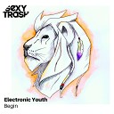 Electronic Youth - Begin Original Mix