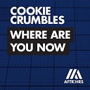 Cookie Crumbles - Where Are You Now Original Mix