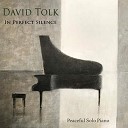 David Tolk - In Perfect Silence Solo Piano Version