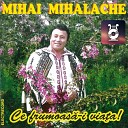 Mihai Mihalache - Pe G rdu L ng O F nt n