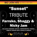 Brava HitMakers - Sunset In the Style of Farruko Shaggy Nicky Jam Instrumental…