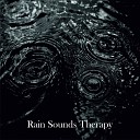 Rain Masters From TraxLab - Rain Sounds Therapy Part 15