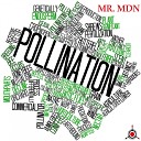 Mr MDN - Bipolar Uncle Original Mix