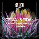 Denial Tidal feat Iriann Joyce - In Love I Trust
