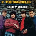 The Standells - There Is A Storm Comin