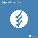Rokas M Ignas Petru - Shaded Bleep On Fire Mix