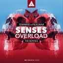 Teminite PsoGnar - Senses Overload EH DE Skyloud Remix